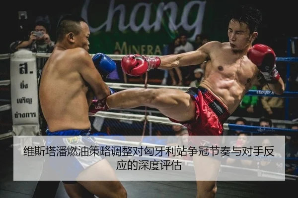 维斯塔潘燃油策略调整对匈牙利站争冠节奏与对手反应的深度评估